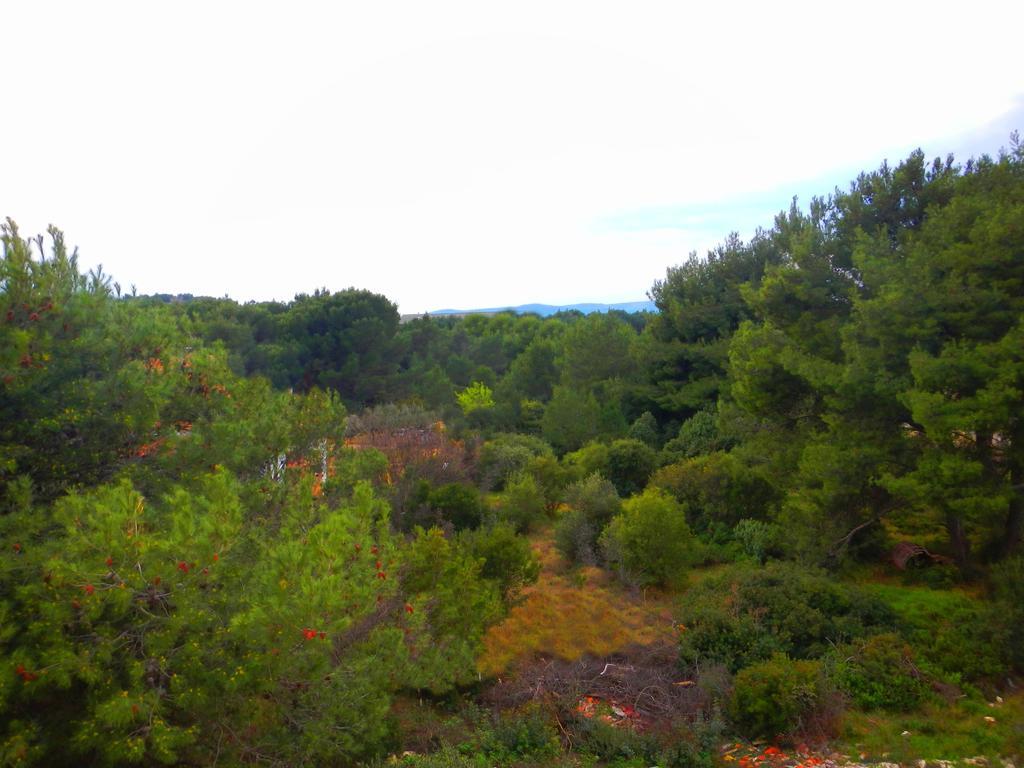 Apartments Ankica Šibenik Dış mekan fotoğraf
